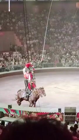 The video shows a circus performance in a large arena filled with spectators. In the center of the arena, a group of performers are balancing on two horses. One horse has two people on its back, and another horse has one person on its back. On top of these performers, two more people are standing in a pyramid formation. The topmost performer is reaching upwards, possibly holding onto a rope or a prop. The performers are wearing red costumes with white accents. The horses are dark brown. The arena floor is light brown and circular. Spectators are visible in the background, seated in tiered seating. There are also some lights and rigging visible above the arena.
