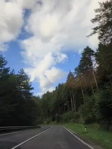The video shows a road winding through a forest under a blue sky with white clouds. The perspective is from a vehicle moving along the road. Tall trees line both sides of the road, with the forest extending up a slope on the right. The road appears to be asphalt, with white lines marking the lanes. There are some white posts along the right side of the road. The sky is bright and the overall impression is that of a scenic drive through a wooded area.