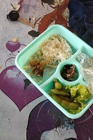 A top-down, slightly angled shot focuses on a light blue plastic lunch tray on a patterned surface. The tray is divided into four compartments. The largest compartment on the left contains a mound of white rice, topped with shredded brown material and a few pieces of dark meat. To the right of the rice, in a smaller, circular compartment, is a dark green substance, possibly seaweed, with small pieces of dark meat. Above this compartment, plastic wrap is crumpled, holding a white utensil, likely a fork. The top right compartment contains fresh green lettuce and several green edamame pods. To the left of the tray, a set of keys with a black fob is visible on the patterned surface, which appears to be a tablecloth or placemat. Further to the left and slightly out of focus, a dark blue fabric and a pinkish-brown garment, possibly a bag or clothing item, are present. A clear plastic container with a dark interior and a white object inside is also visible to the upper right of the tray.