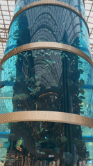 Large aquarium display spotted in Khimki shopping mall