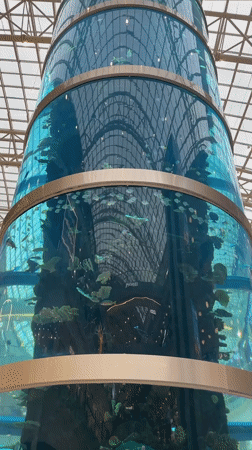Large aquarium display spotted in Khimki shopping mall