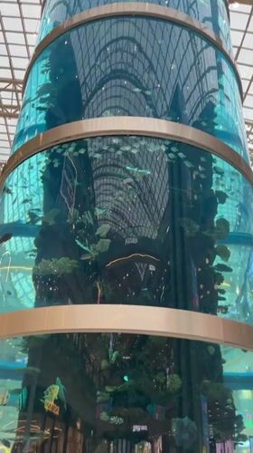 Large aquarium display spotted in Khimki shopping mall