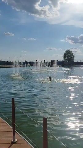 A wide shot captures a body of water with multiple fountains spraying water upwards, creating a mesmerizing display. The sun shines brightly, casting a shimmering reflection on the water's surface. In the background, a modern glass building with a curved facade stands prominently, hinting at a sophisticated architectural design. The sky above is a vibrant blue, dotted with fluffy white clouds, suggesting a pleasant day. A lone tree adds a touch of greenery to the scene, while a wooden walkway with railings in the foreground provides a vantage point for observing the view. The overall ambiance is serene and inviting, hinting at a leisurely atmosphere.