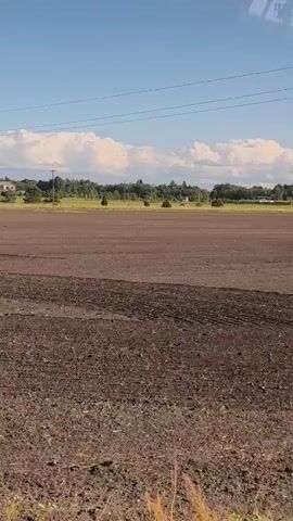 The video shows a wide, flat, brown field, likely recently plowed or tilled, with visible furrows in the foreground on the left side. Beyond the field, a line of green trees forms the horizon, with a few scattered lighter green bushes or trees in the middle distance. The sky above is a clear blue with scattered white, puffy clouds. Power lines are visible running horizontally across the top of the frame. The perspective suggests the camera is moving horizontally, likely from a vehicle, across the landscape.