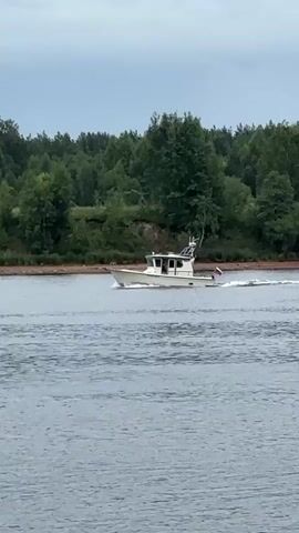 A white motorboat is traveling on a body of water. The boat has a cabin and a flag at the stern. The background consists of a shoreline with trees and a cloudy sky. The water is choppy, with a wake trailing behind the boat.