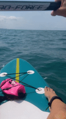 Paddleboarding on the Black Sea off Sochi's sunny coast