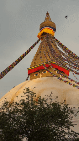 Kathmandu daily life documented around Buddhist sites and streets