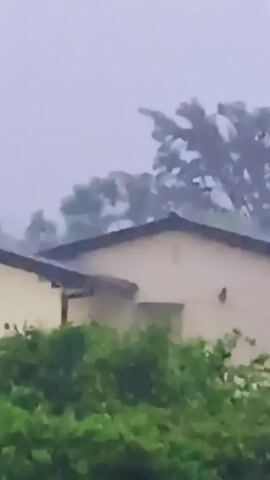 The video depicts a residential scene during heavy rain. A house with a dark roof is visible through green foliage. In the background, trees sway in the wind, obscured by the rainfall. The sky is overcast and grey, adding to the stormy atmosphere.