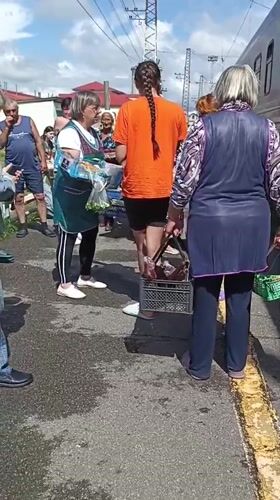 Romodanovo station platform: trains, waiting crowds, and grape vendors
