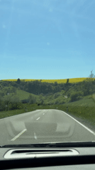 Driver records journey on rural German road