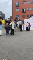 Outdoor market scene with poodles and pedestrians milling about
