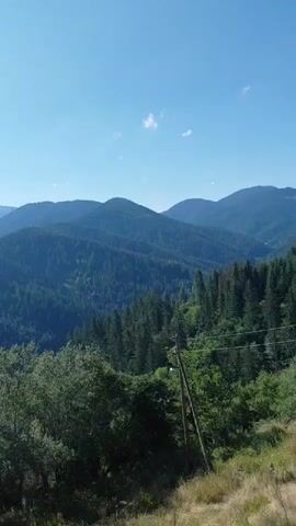 The video shows a panoramic view of a vast, heavily forested mountain landscape under a clear blue sky with a few wispy clouds. The mountains are covered in dense evergreen trees, creating a textured, layered effect. In the foreground, there is a grassy slope with some dry vegetation and a wooden pole with wires. To the left, there are more trees, and further into the distance, a glimpse of a red-tiled roof of a small building can be seen nestled amongst the trees on a hillside. The camera appears to be moving slightly, offering a sweeping perspective of the natural scenery.
