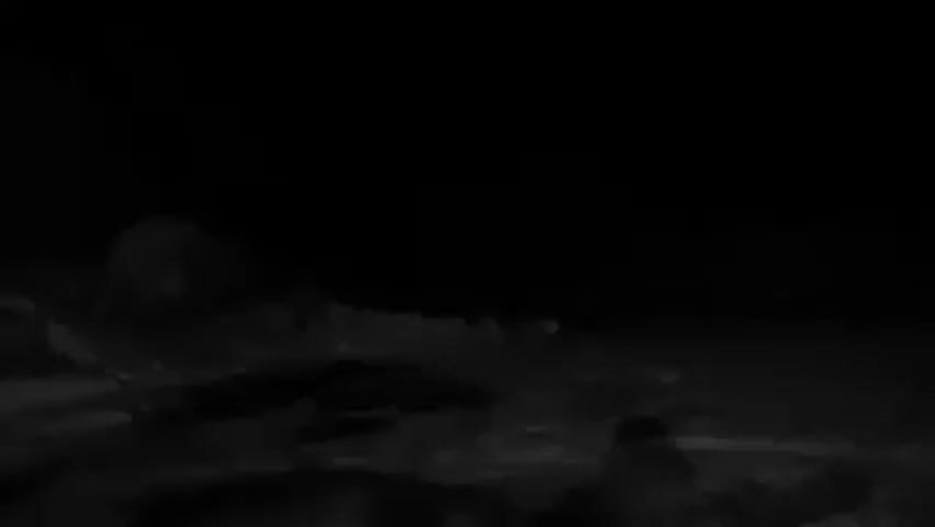 The video depicts a nighttime scene with snowy ground. Two illuminated points are visible in the distance, suggesting the presence of an animal with reflective eyes. The foreground shows patches of snow and dark, unclear shapes, likely rocks or other terrain features.