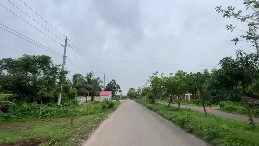 A ground-level point-of-view shot reveals a narrow, straight asphalt road stretching into the distance under a cloudy sky. The road is flanked by lush greenery, including trees and dense vegetation, on both sides. Overhead, power lines run parallel to the road, supported by utility poles. On the left side of the road, a small, simple structure with a red roof stands amidst the greenery. A sign is also visible, though the text is not clearly legible. The overall scene evokes a sense of rural tranquility. The wind is strong, with a loud rustling noise audible.