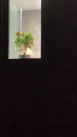 The video shows a dimly lit scene. In the upper portion of the frame, a rectangular window reveals an interior space. A potted plant with green and red leaves sits on what appears to be a shelf. Behind the plant, a person's bare shoulders and upper back are visible. The person is facing away from the camera and is partially obscured by the plant. The background inside the window appears to be a tiled wall, suggesting a bathroom or shower area. The lower portion of the frame is dark, with a faint blurry green light visible near the bottom edge. The camera is positioned outside, looking into the window.