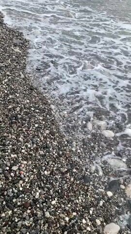 The video shows a close-up view of a pebble beach with waves gently rolling in. The pebbles are varied in size and color, ranging from dark gray to lighter shades of white and brown. The water is a murky, grayish-blue, and the foam from the waves creates a frothy white line along the shore. In the distance, a metal railing or pier is visible, partially submerged in the water. The overall impression is one of a natural, somewhat overcast beach scene.