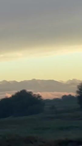 A video captures a landscape view with mountains in the distance. The sky is overcast with soft light, suggesting sunrise or sunset. In the foreground, there are rolling hills covered in vegetation, with scattered trees. A thin layer of pinkish clouds hovers between the hills and the mountains. The camera appears to be moving slightly, giving a sense of a journey or a panoramic view.