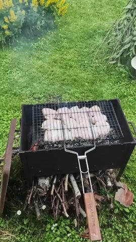 The video shows a close-up view of raw chicken pieces on a grill over hot coals. The grill is placed in a black barbecue pit, which is supported by logs and branches. The scene is outdoors, with green grass and some yellow flowers visible in the background. Smoke is rising from the grill. The chicken appears to be seasoned with herbs and spices. The overall impression is that of a backyard barbecue in progress.