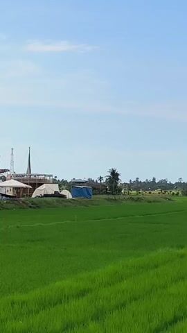 A field of bright green grass stands between the camera and a series of white tents under a blue sky with some clouds. Behind the tents, there is a large Ferris wheel. Next to the Ferris wheel is another carnival ride.