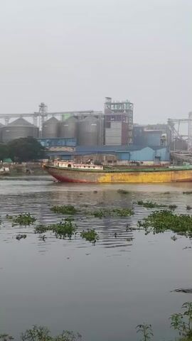 A wide shot shows a river with a large, flat-bottomed boat in the foreground. The boat is painted yellow and red and appears to be in a state of disrepair, with visible signs of wear and tear. There are a few small structures on the deck. The river is covered with patches of green vegetation. In the background, a large industrial complex is visible. It includes multiple silos, tall metal structures, and several buildings. The overall atmosphere is hazy and overcast, with limited visibility. The camera remains static throughout the video.