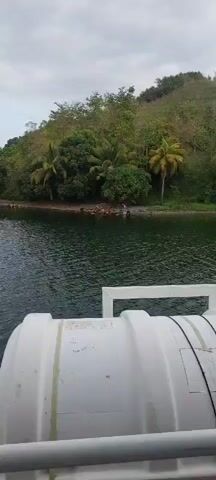 A video shows a group of people on a beach. They are gathered in the shallow water, and some appear to be washing clothes. The beach is lined with trees, and a lush green hillside rises behind it. The water is a dark green, and the sky is overcast. The perspective of the video is from a boat or other floating vessel, as a white railing is visible in the foreground.