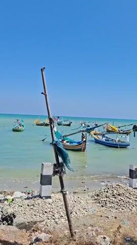 A panning shot shows a coastal scene with several small fishing boats anchored in clear, turquoise water under a bright blue sky. The foreground of the video is a rough, sandy beach littered with debris, including plastic bags, driftwood, and stones. A concrete post with black and white markings stands on the right side of the beach. In the midground, the boats, varying in color and size, are bobbing gently. Some have colorful flags or awnings. The horizon line is low, emphasizing the vastness of the sky. The camera pans from right to left, revealing more of the coastline and the boats. A dead tree branch extends into the frame from the upper right, adding a touch of wildness to the otherwise serene maritime setting. The water appears calm, with gentle waves lapping the shore.