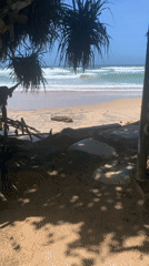 Morning coastal scenes documented in Ahangama, Sri Lanka