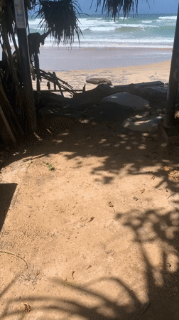 Morning coastal scenes documented in Ahangama, Sri Lanka