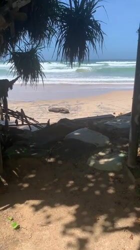 Morning coastal scenes documented in Ahangama, Sri Lanka