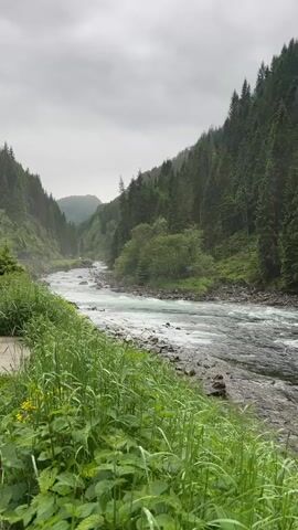 The media file displays a scenic view of a river flowing through a forest-covered valley. The river is the primary subject, with its rushing water and rocky bed dominating the foreground and midground. Lush green foliage, including tall trees and grass, lines the riverbanks. The trees are predominantly evergreens, characteristic of a coniferous forest. The background reveals a steep, tree-covered mountainside under a cloudy sky. The weather appears overcast, contributing to a cool, natural ambiance.

The scene is set in a natural, wilderness environment, likely a remote or mountainous region given the terrain and vegetation. The activity depicted is the natural flow of the river, suggesting a peaceful yet dynamic landscape. There are no people or man-made objects visible, emphasizing the untouched beauty of the natural setting. The time of day is indeterminate due to the overcast conditions, but the overall impression is one of serene, natural beauty. The lack of visible text further reinforces the focus on the natural landscape. The location context places this scene in Skare, Norway, aligning with the visual cues of mountainous terrain and coniferous forests common in that region.