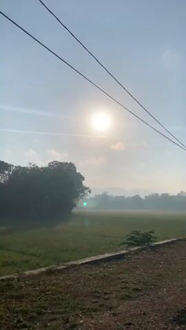 The video captures a serene morning scene outdoors. The sun is bright and high in the sky, casting a gentle glow over the landscape. In the foreground, power lines stretch across the frame, supported by poles. A lush green field stretches into the distance, with a few trees scattered around the edges. In the background, rolling hills are visible, shrouded in a light mist. The overall atmosphere is tranquil and peaceful, suggesting a beautiful start to the day.
