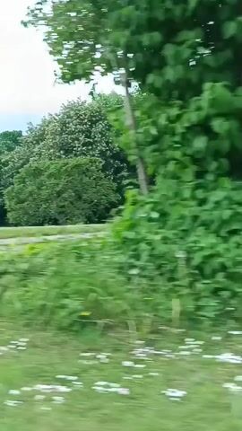 A handheld video captures a journey through a park, filmed from a moving vehicle. The path is paved with light brown cobblestones, and the surrounding grass is green and lush. A large painting of a train is displayed, and a red planter adorned with white patterns holds vibrant orange flowers. Trees with abundant green foliage line the path, and a light-colored sky with some clouds is visible above.