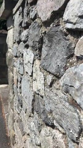 This media file captures a close-up view of a textured stone wall, likely part of a garden boundary or a house exterior. The wall is constructed from irregular grey and beige stones, with visible mortar lines. To the left of the wall, a paved walkway runs alongside it, and beyond that, a road with a few cars is visible. In the background, there are glimpses of greenery and residential buildings, suggesting a suburban or residential setting.

A prominent feature is a large, modern-looking grey gate with vertical slats, which appears to be partially open. Adjacent to the gate and near the stone wall, there are several black refuse bins, one of which is overflowing with what appears to be recycling material, including cardboard and plastic.

The scene is illuminated by natural light, indicating it is daytime. The sunlight creates distinct shadows and highlights on the stone, emphasizing its rough texture. The sky in the background is a clear blue, suggesting fair weather. The overall impression is one of a residential property in a well-maintained area. No people are visible in the media file. The time of day appears to be late morning or early afternoon.
