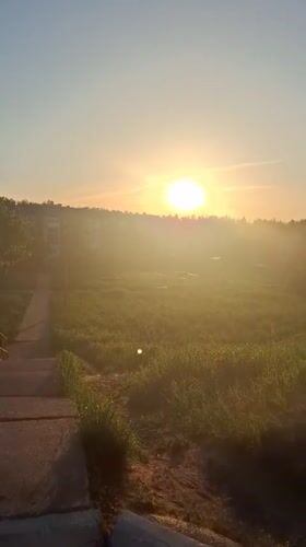 Daily life moments documented across Markovskii, Russia neighborhood