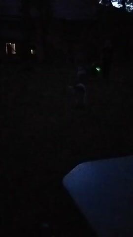 The video captures a dimly lit outdoor scene at dusk or night, likely in Kramatorsk, Ukraine. The primary subjects appear to be two dogs playing in a grassy area. One dog, a larger, lighter-colored canine, is in the foreground, seemingly interacting with something on the ground. Further in the background, a second, smaller, darker dog is visible. A person stands in the background, partially obscured by the darkness, possibly observing or interacting with the dogs.

To the left of the frame, a building with illuminated windows suggests a residential or commercial structure. The overall setting is a yard or open space with scattered vegetation. The lighting is very low, with the only significant illumination coming from the windows of the building and a faint, possibly artificial, light source near the second dog.

The activity appears to be a relaxed, informal gathering or playtime with the dogs. The low light and the focus on the animals suggest a calm, possibly domestic, atmosphere. The time of day is clearly evening or night, given the darkness and artificial light sources. There are no discernible text elements within the video. The presence of illuminated windows and the suggestion of a building indicate a settled location rather than an entirely natural or remote environment.