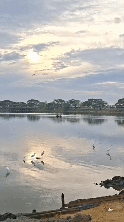Dawn fishing and wildlife activity at Lhokseumawe waterfront