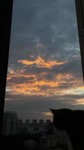 The video captures a time-lapse of a sunset with dramatic orange and gray clouds. The camera is positioned low, and at the very bottom of the frame, the silhouette of a cat's ears is visible. The clouds appear to be moving and changing shape as the sunset progresses, with the orange hues intensifying and then fading. The overall mood is serene and atmospheric.