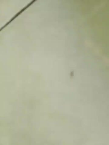 The video shows a blurry, close-up view of a light-colored, tiled surface. A small, dark, indistinct object, possibly an insect, is visible in the center of the frame. A thin, dark line runs diagonally across the upper left portion of the image, suggesting a seam or edge. A muted orange, horizontal stripe or reflection is present in the upper right quadrant. The lighting is soft and diffused.