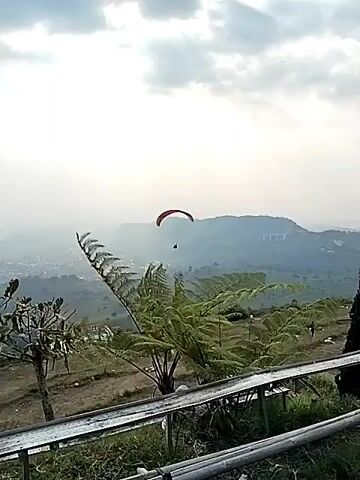 A paraglider is in mid-air above a valley with scattered buildings and mountains in the background. The paraglider, with a red canopy and a dark harness, is silhouetted against a cloudy sky. In the foreground, a large fern frond is partially obscuring the view. A wooden fence runs horizontally across the bottom of the frame.