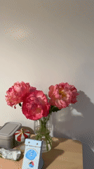 Domestic scenes documented in Izhevsk homes and construction site