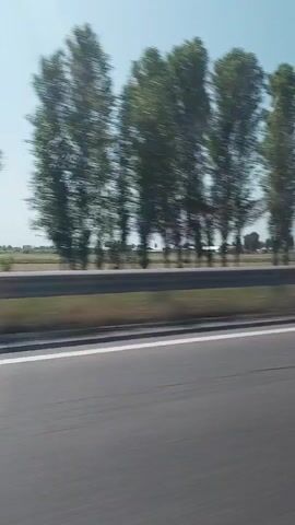 A car moves along a highway. The view is from the car, looking to the right. On the right of the road is a guardrail, beyond which are trees. Beyond the trees is a flat, grassy landscape. The sky is pale blue and almost cloudless. The road is gray asphalt, with a white dividing line.