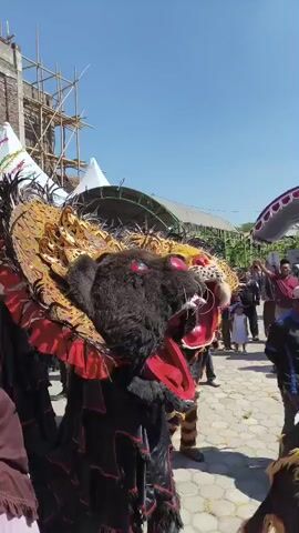 A vertical video displays a close-up of a large, dark, and elaborate costume resembling a mythical creature, possibly a dragon or lion, with black fur, red and gold accents, and large feathers. The creature's head is prominent, with bright red eyes and a gaping mouth. The costume is being maneuvered, suggesting a parade or performance. In the background, a crowd of people are visible, some holding umbrellas for shade. A white tent structure with scaffolding is also present. The environment appears to be outdoors, under a clear blue sky, with paved ground. A drum is visible in the lower right corner, indicating musical accompaniment. The scene suggests a cultural event or celebration.