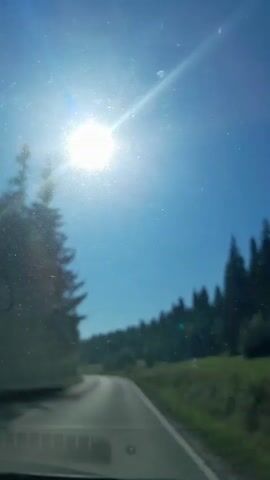 This is a first-person perspective video taken from inside a vehicle driving down a paved road through a forested area. The sun is shining brightly in a clear blue sky, creating a lens flare on the camera. The trees on either side of the road are lush and green, with the road curving ahead.