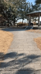 Morning scene captured at Kamakura park gazebo