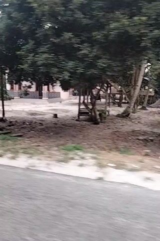 A vertical video shows a blurry scene with a person on a motorcycle passing by. The environment appears to be a rural area with trees, some simple structures, and a dirt road. The lighting suggests it might be overcast or late in the day. The person on the motorcycle is partially visible, wearing dark clothing.