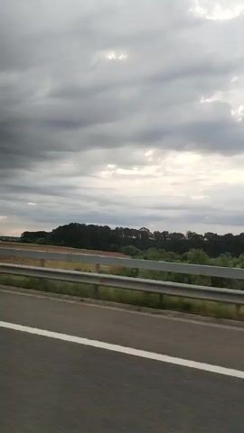 The video shows a view from a vehicle moving along a paved road, likely a highway, with a white line marking the lane. A metal guardrail runs alongside the road. Beyond the guardrail is a dry, grassy field, and further in the distance, a line of dark green trees forms a treeline against a cloudy sky. The sky is predominantly gray with some patches of lighter sky suggesting the sun might be trying to break through. The perspective suggests the camera is mounted inside the vehicle, capturing the passing landscape.
