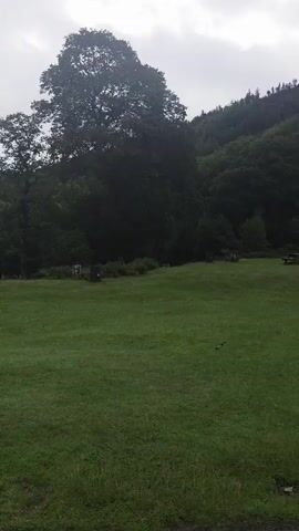 The video begins by showing a picnic area with picnic tables set in a grassy field. Several trees are visible, with a dense forest in the background. The sky is overcast and appears to be cloudy. As the video progresses, the scene changes to a path leading towards a waterfall cascading down a rocky hillside. Several people are visible walking on the path and in the grassy areas. The video concludes with a view of the waterfall.