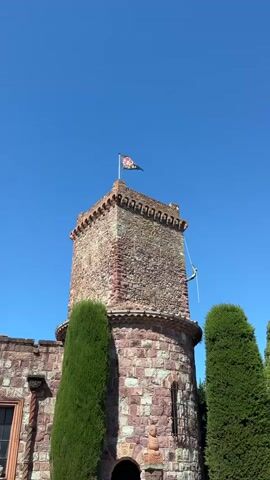 The video shows the top of a stone tower against a clear blue sky. A flag is flying from the top of the tower. Two tall, green, conical trees flank the tower on either side, with a portion of a stone building visible on the left side of the frame. A rope hangs from the top of the tower to the right.