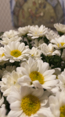 Evening scenes captured in Khimki: flowers, driving, modified car