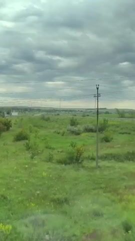 This media file captures a view from a moving vehicle, likely a train, looking out at a rural landscape under a cloudy sky. The scene is dominated by vibrant green fields and scattered patches of trees and bushes. Several utility poles with wires stretch across the frame, indicating the presence of infrastructure within the rural setting. In the distance, a cluster of buildings suggests a small settlement or village. The weather appears overcast, with heavy, gray clouds obscuring the sun, creating a diffused light that casts a muted tone over the landscape. The time of day is not explicitly clear but the lighting suggests it could be daytime. The overall emotion conveyed is one of tranquil observation of the natural world, with a hint of the everyday passage of travel. There is no visible text in the media file.